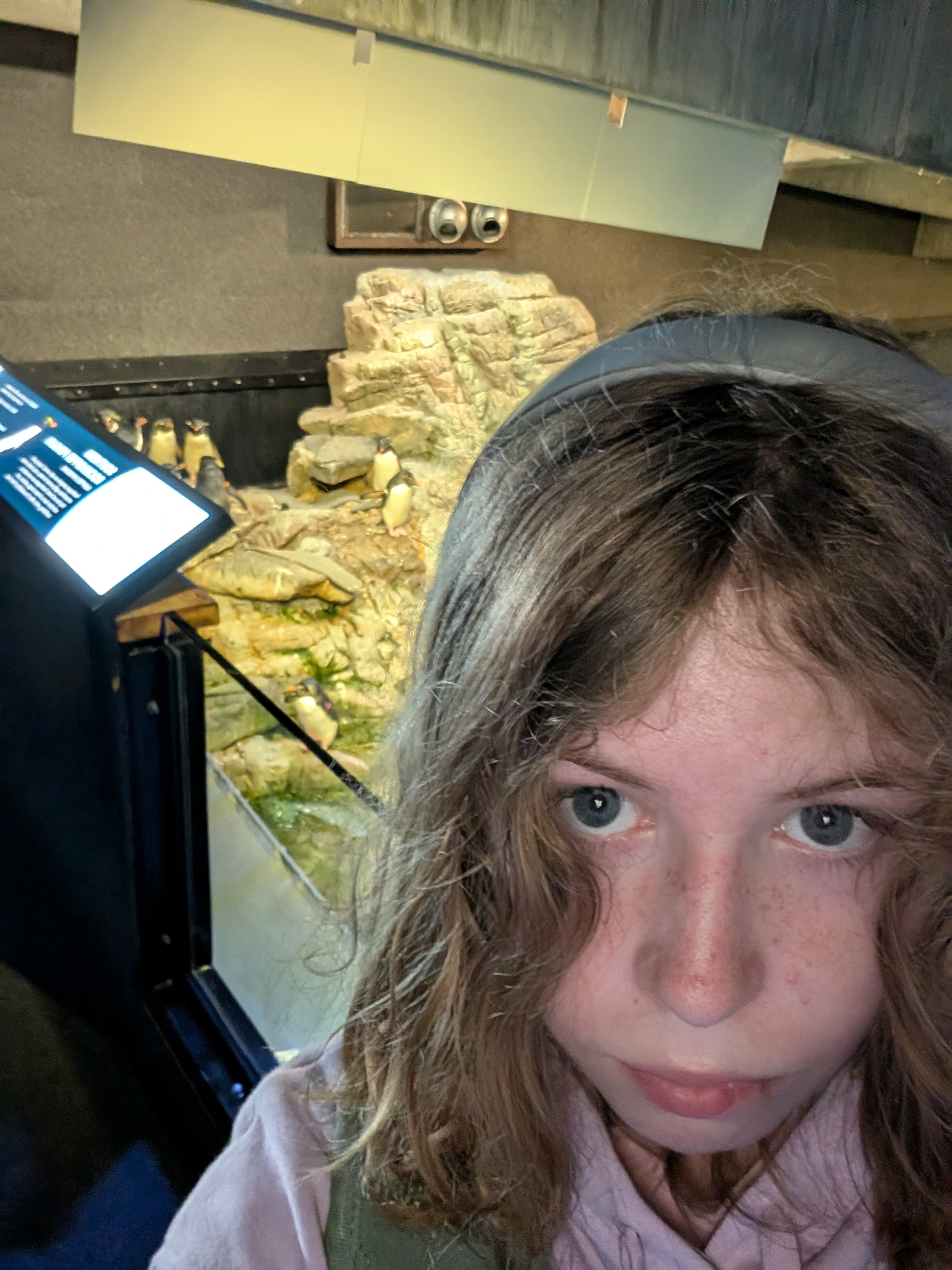 PXL_20260712_134618941~2.jpg